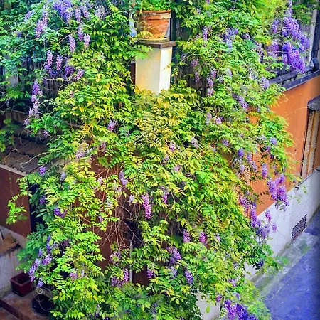 Feriehus Il Glicine - Casa Vacanze *